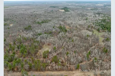 V/L 27A E 15 Mile Road, Bitely, MI 49309 - Photo 4
