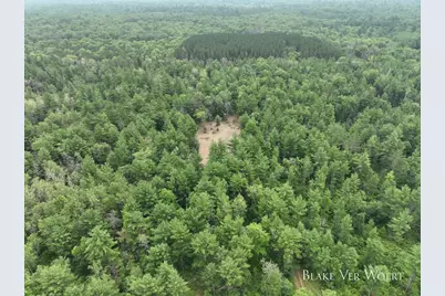 V/L 27A E 15 Mile Road, Bitely, MI 49309 - Photo 6