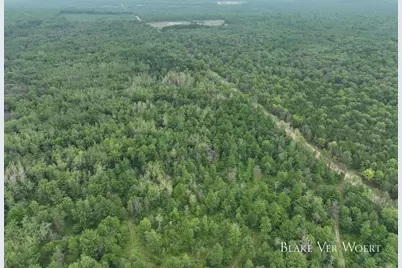 V/L 27A E 15 Mile Road, Bitely, MI 49309 - Photo 8