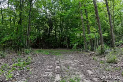 Parcel B Youngman Road, Trufant, MI 49347 - Photo 4