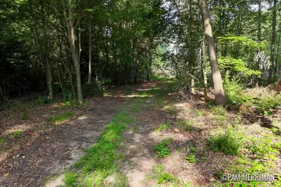 Parcel B Youngman Road, Trufant, MI 49347 - Photo 1