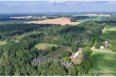 Parcel F Willard Road, Trufant, MI 49347 - Photo 2