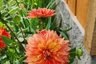 23536 Forest Shores Dr, Cassopolis, MI 49031 - Photo 34