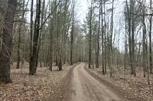 52960 Co Rd 380, Grand Junction, MI 49056 - Photo 48