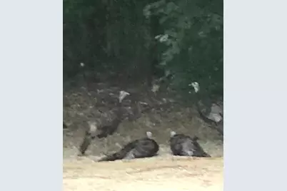 52960 County Road 380, Grand Junction, MI 49056 - Photo 46