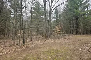 52960 Co Rd 380, Grand Junction, MI 49056 - Photo 52