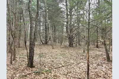 52960 County Road 380, Grand Junction, MI 49056 - Photo 50