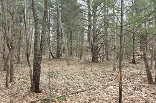 52960 Co Rd 380, Grand Junction, MI 49056 - Photo 50