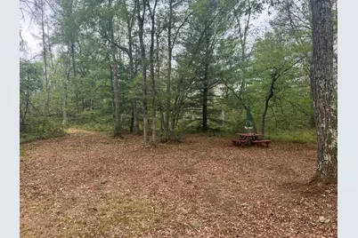 7230 S Kenwood Avenue, Baldwin, MI 49304 - Photo 6