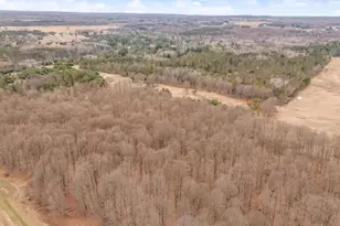 6700 S 230th Ave, Reed City, MI 49677 - Photo 62