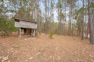 6700 S 230th Ave, Reed City, MI 49677 - Photo 54