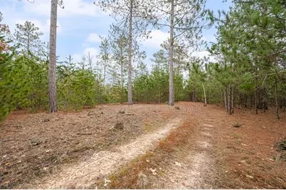 6700 S 230th Avenue, Reed City, MI 49677 - Photo 56