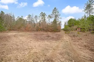 6700 S 230th Ave, Reed City, MI 49677 - Photo 50