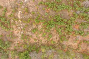 6700 S 230th Ave, Reed City, MI 49677 - Photo 68