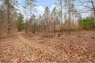 6700 S 230th Avenue, Reed City, MI 49677 - Photo 42