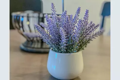 111 N Ashley Street #305, Ann Arbor, MI 48104 - Photo 12