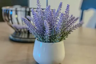 111 N Ashley St, Ann Arbor, MI 48104 - Photo 12