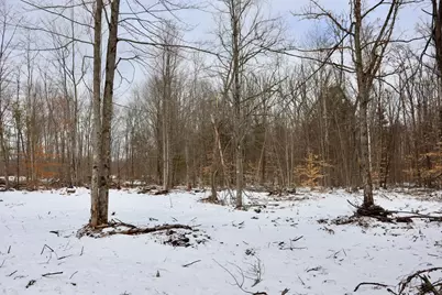 E Long Lake Road #V/L, Harrison, MI 48625 - Photo 20