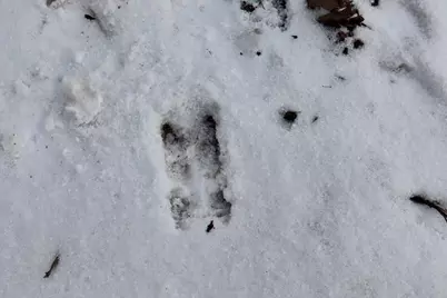 E Long Lake Road #V/L, Harrison, MI 48625 - Photo 36