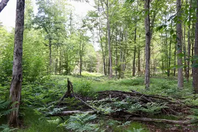 E Long Lake Road #V/L, Harrison, MI 48625 - Photo 4