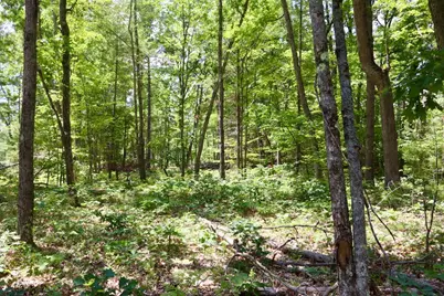 E Long Lake Road #V/L, Harrison, MI 48625 - Photo 14