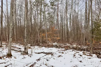 E Long Lake Road #V/L, Harrison, MI 48625 - Photo 12