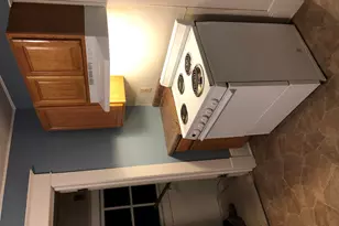 315 Rust Ave, Big Rapids, MI 49307 - Photo 24