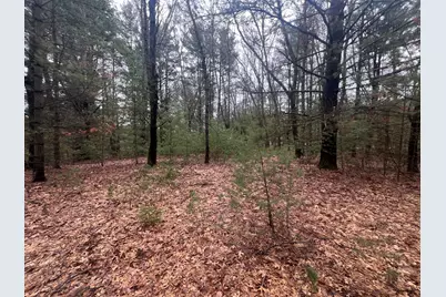 S Atwater, White Cloud, MI 49349 - Photo 1