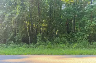 13164 Beckwith Dr NE, Lowell, MI 49331 - Photo 1