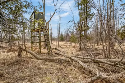 875 E Jackson Road, Hart, MI 49420 - Photo 36