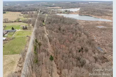 Vl Hutchinson, Dowling, MI 49050 - Photo 2