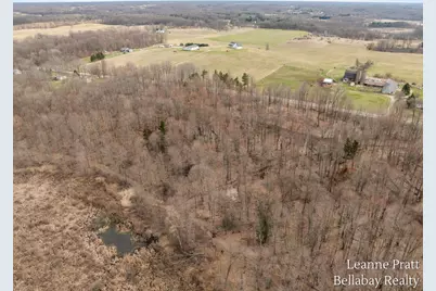 Vl Hutchinson, Dowling, MI 49050 - Photo 8