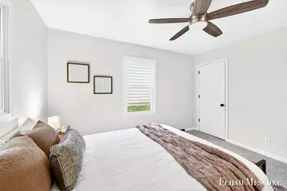206 W Nelson Street, Hastings, MI 49058 - Photo 18