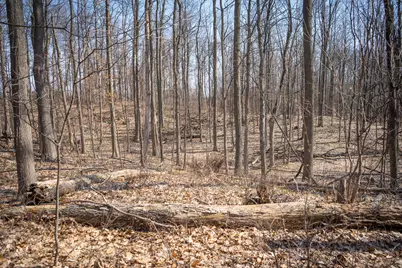 Parcel C&d W Grant, New Era, MI 49446 - Photo 24