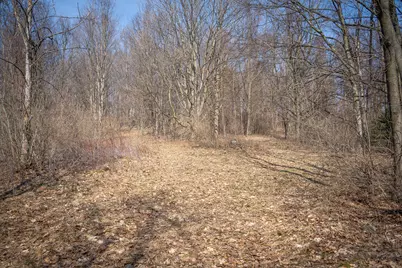 Parcel C&d W Grant, New Era, MI 49446 - Photo 16