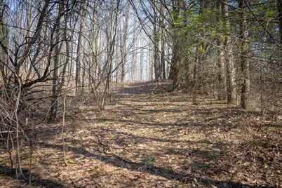 Parcel C&d W Grant, New Era, MI 49446 - Photo 6