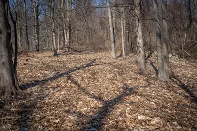 Parcel C&d W Grant, New Era, MI 49446 - Photo 14