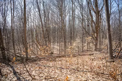 Parcel C&d W Grant, New Era, MI 49446 - Photo 20