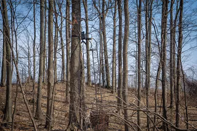 Parcel C&d W Grant, New Era, MI 49446 - Photo 26