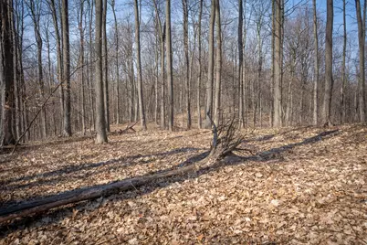 Parcel C&d W Grant, New Era, MI 49446 - Photo 28