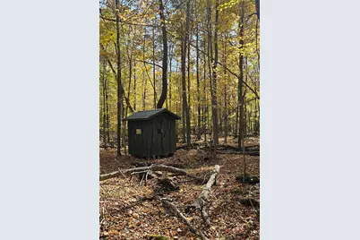 10700 Sunfield Road, Sunfield, MI 48890 - Photo 142