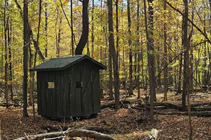 10700 Sunfield Rd, Sunfield, MI 48890 - Photo 142