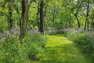 10700 Sunfield Rd, Sunfield, MI 48890 - Photo 152