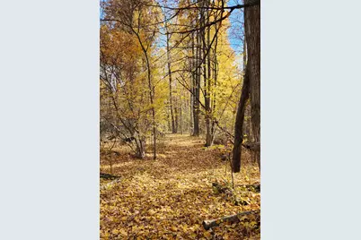 10700 Sunfield Road, Sunfield, MI 48890 - Photo 148