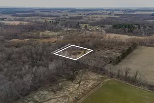 10700 Sunfield Rd, Sunfield, MI 48890 - Photo 124