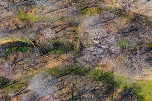 10700 Sunfield Rd, Sunfield, MI 48890 - Photo 106