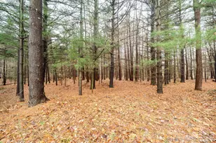 6264 140th Ave, Holland, MI 49423 - Photo 54