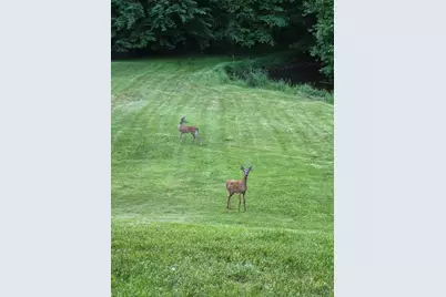 840 Black River Road, Bangor, MI 49013 - Photo 36