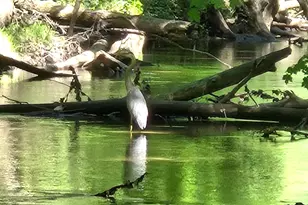 840 Black River Rd, Bangor, MI 49013 - Photo 36