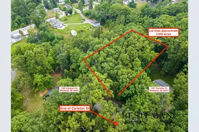 V/L Carleton Street, Whitehall, MI 49461 - Photo 2